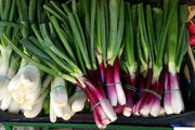 Fotótapéták spring onions