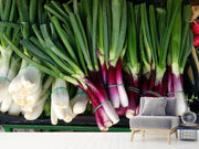 Fotótapéták spring onions