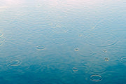 Fotótapéták Light raindrops