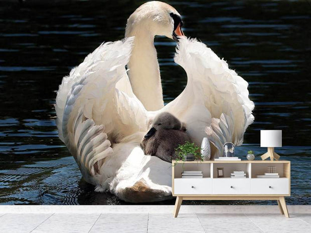 Fotótapéták Mom and baby swan
