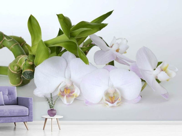 Fotótapéták Orchid and bamboo