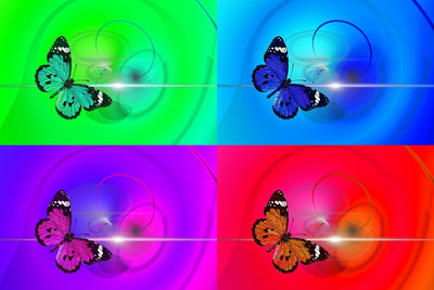 Fotótapéták Pop Art Colorful Butterfly