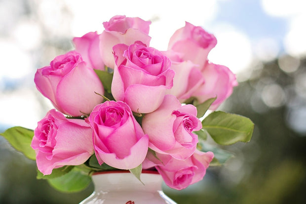 Fotótapéták Bouquet of roses in pink