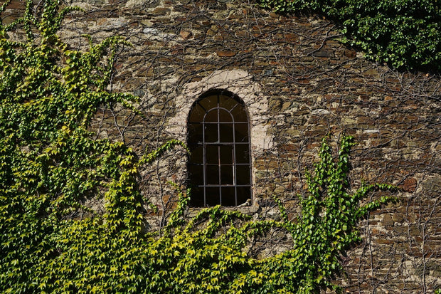 Fotótapéták Castle tower