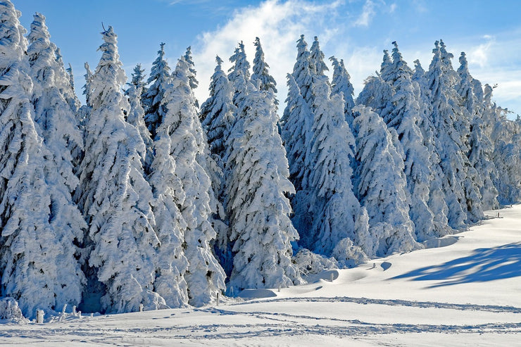 Fotótapéták Beautiful winter landscape