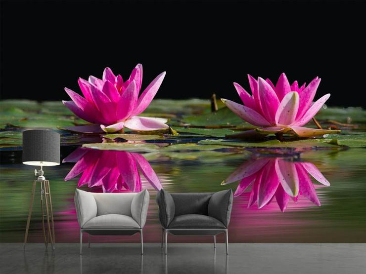 Fotótapéták Water Lilies Duo in pink