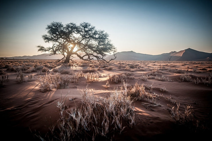 Fotótapéták Longing Africa