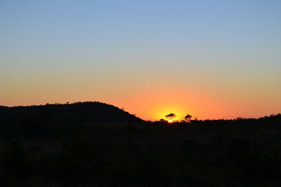 Fotótapéták Sunset in Africa