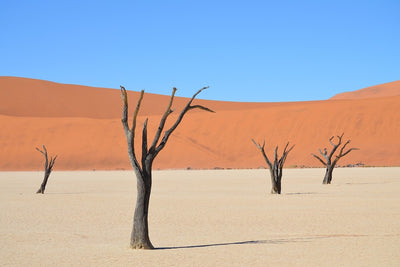 Fotótapéták Sossusvlei Namibia