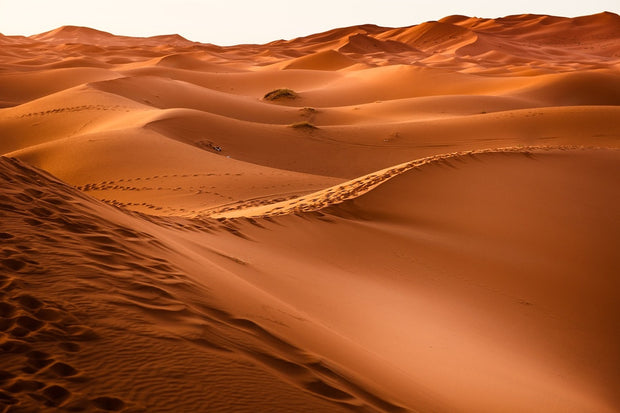 Fotótapéták Traces in the desert