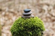 Fotótapéták Stone pile on plant