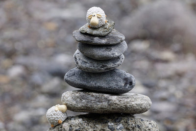 Fotótapéták Stone pile sheep