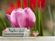Fotótapéták Tulip pretty in pink