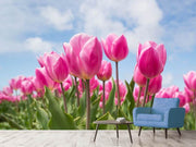 Fotótapéták Tulip field in pink