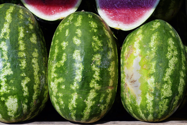 Fotótapéták watermelons