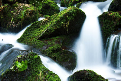 Fotótapéták Wild waterfall