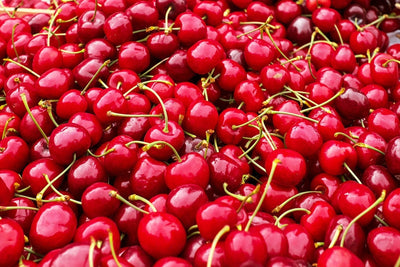 Fotótapéták XL cherries