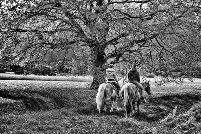 Fotótapéták Two riders