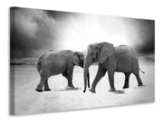 Vászonképek 2 elephants sw