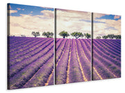 3 darab Vászonképek The Lavender Field