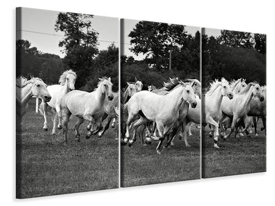 3 darab Vászonképek The Mustang Herd