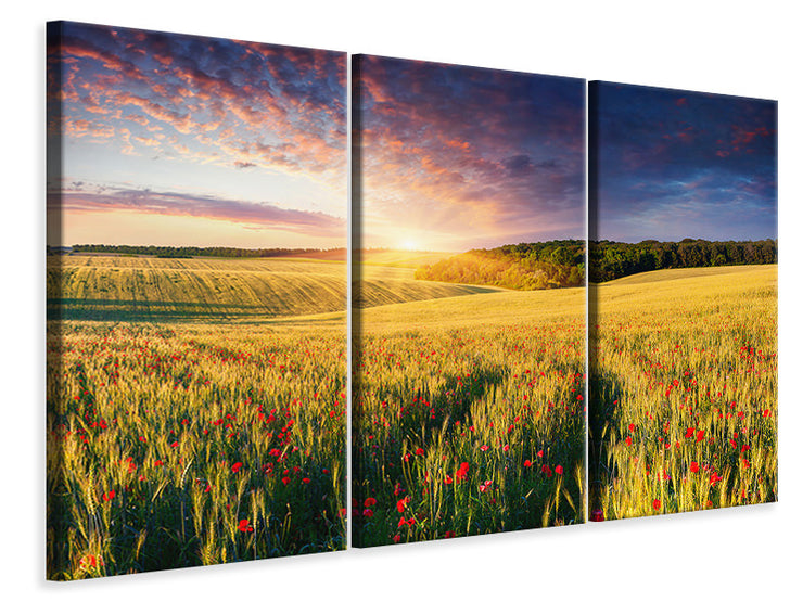 3 darab Vászonképek A Flower Field At Sunrise