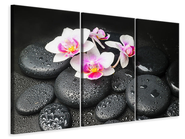 3 darab Vászonképek Feng Shui Orchid Zen