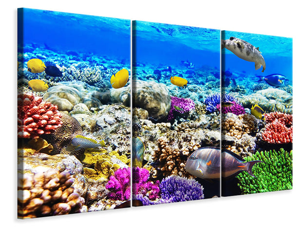 3 darab Vászonképek Fish Aquarium