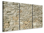 3 darab Vászonképek Nature Wall