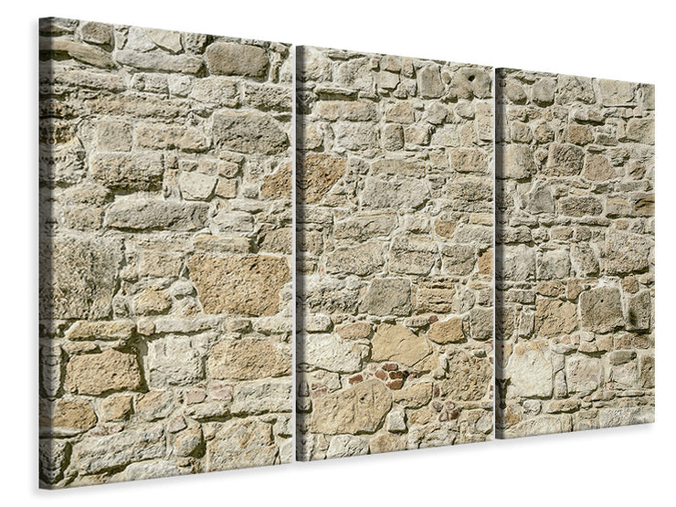 3 darab Vászonképek Nature Wall