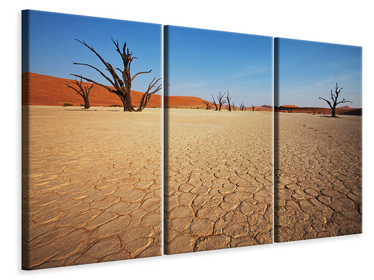3 darab Vászonképek Desert