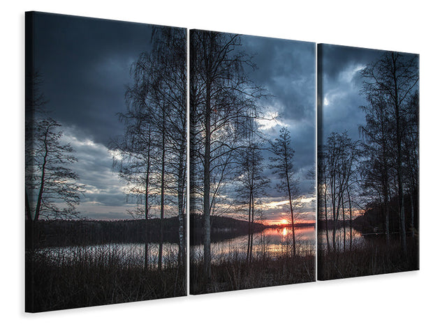 3 darab Vászonképek Trees at the lake