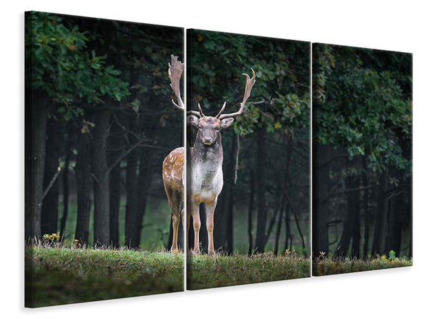 3 darab Vászonképek The fallow deer 2