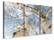 3 darab Vászonképek The 2 birches