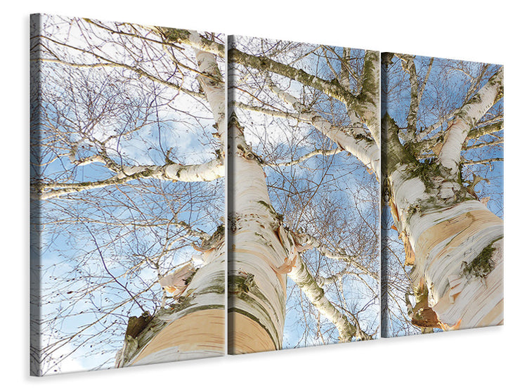 3 darab Vászonképek The 2 birches