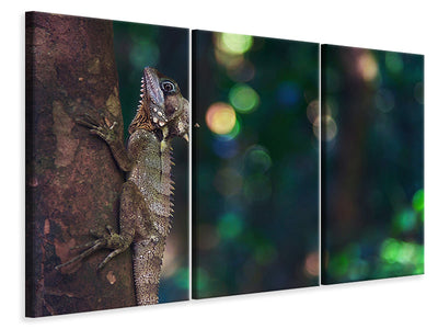 3 darab Vászonképek The lizard