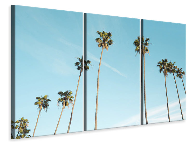 3 darab Vászonképek A sky full of palm trees