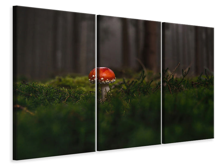 3 darab Vászonképek A mushroom in the forest