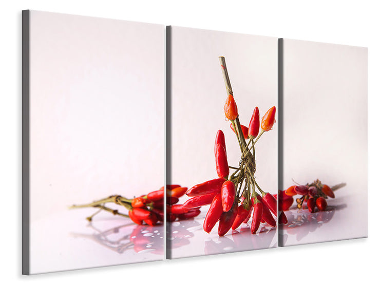 3 darab Vászonképek A bouquet of chili