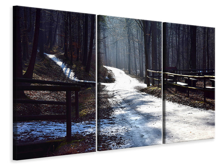 3 darab Vászonképek A path in the snow
