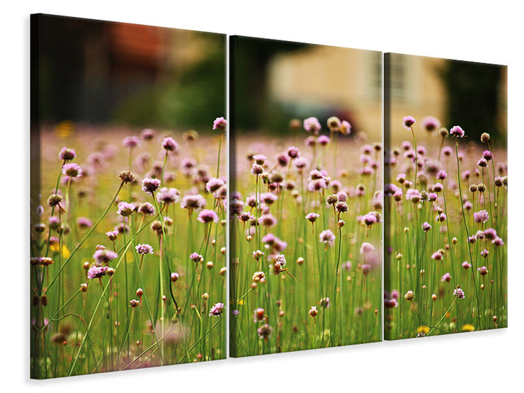 3 darab Vászonképek A meadow full of flowers