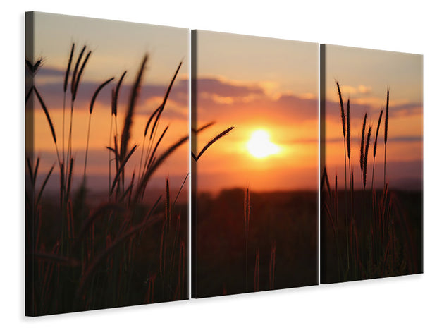 3 darab Vászonképek Adorable sunset