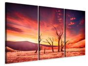 3 darab Vászonképek Colorful desert