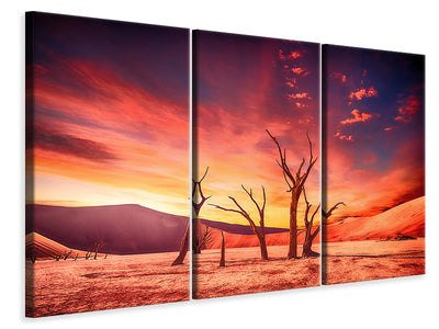 3 darab Vászonképek Colorful desert