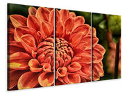 3 darab Vászonképek Painting of a dahlia