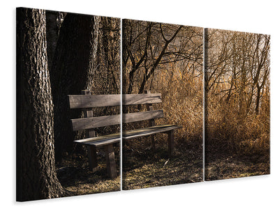 3 darab Vászonképek Wooden bench in the forest