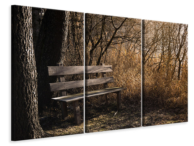 3 darab Vászonképek Wooden bench in the forest