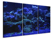 3 darab Vászonképek Coral reef in blue