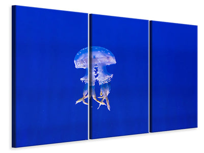 3 darab Vászonképek Glowing jellyfish