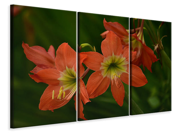 3 darab Vászonképek Lilies in orange